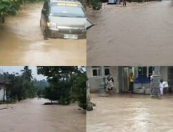 Banjir Landa Dua Kecamatan di Tanggamus, Puluhan Rumah Terendam dan Jembatan Hanyut