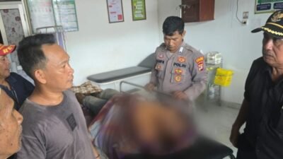 Warga Tanggamus Tewas Diduga Akibat Gigitan Ular Berbisa Saat Bekerja di Kebun
