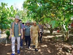 Mondelez & OFI Luncurkan Kebun Percontohan CASDI di Pringsewu