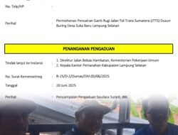 56 Warga Lampung Selatan Tuntut Keadilan: Tanah Digunakan untuk Jalan Tol, Belum Terima Ganti Rugi