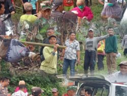 Petani Ditemukan Meninggal di Gubuk Register 28 Gisting Permai, Diduga Serangan Jantung