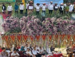 Panen Perdana Bawang Merah, Bumdes Alam Jaya Pekon Kejayaan Dorong Ketahanan Pangan di Tanggamus