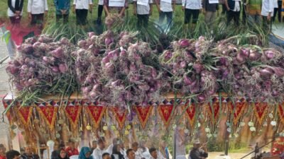 Panen Perdana Bawang Merah, Bumdes Alam Jaya Pekon Kejayaan Dorong Ketahanan Pangan di Tanggamus